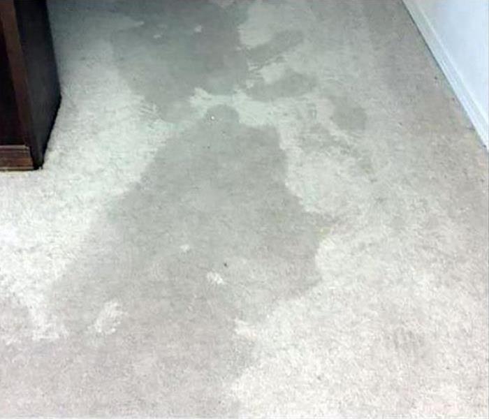 water damaged carpeting in home
