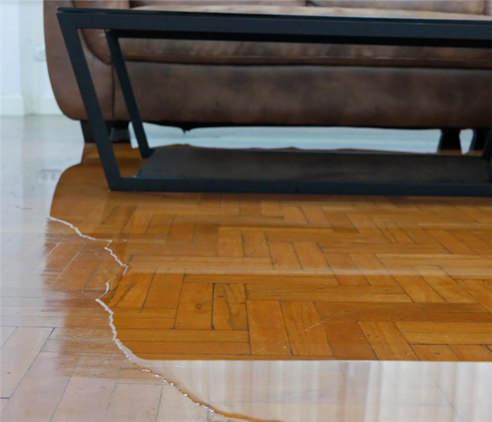 wood floor with water on it and a couch next to it