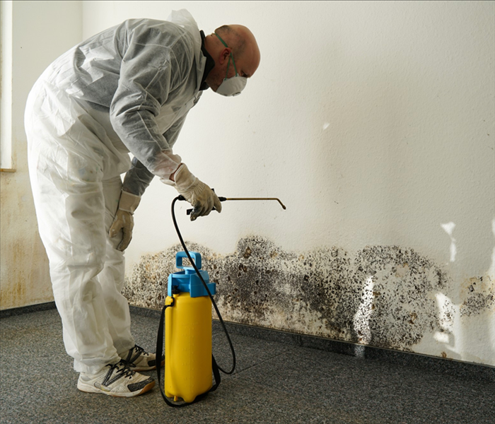 man in biohazard uniform spraying mold on wall